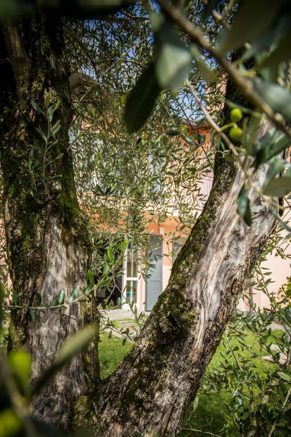 Maison Casa Lavanda Bellagio Bagian luar foto